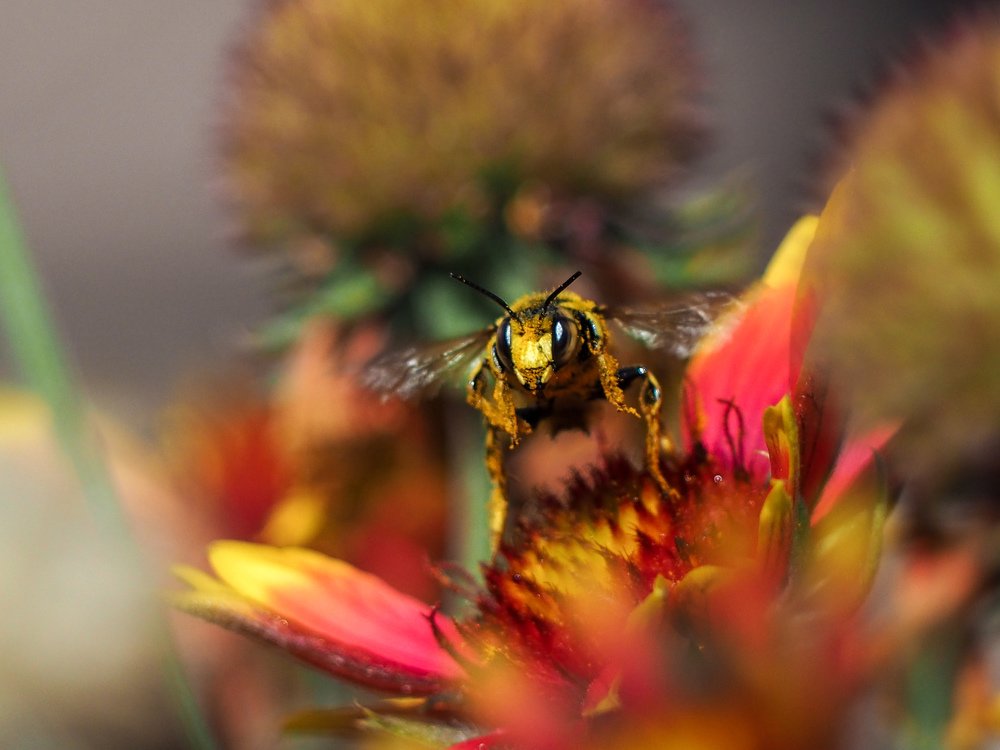 Photograph by Светлана Шибаршина