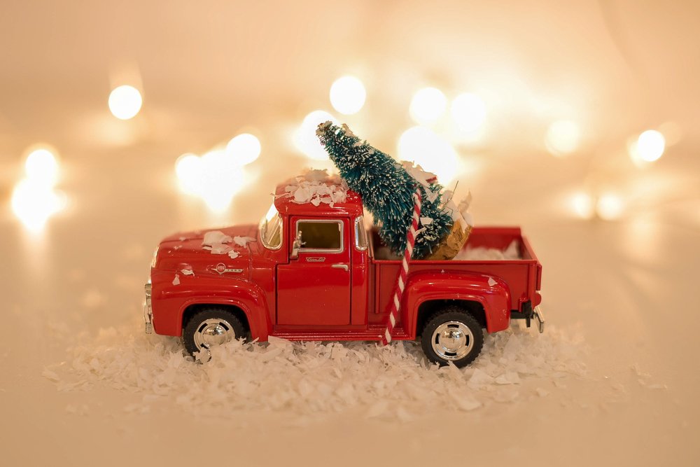 Photograph by Кадырова Марина