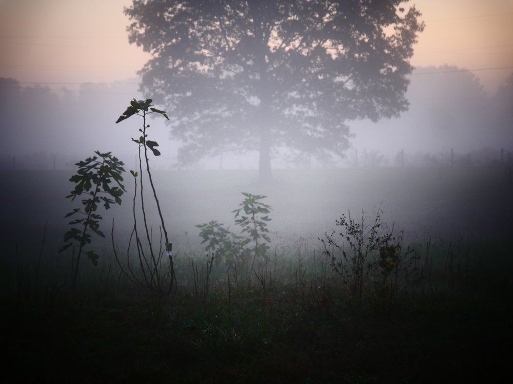 Пасмурный октябрь.