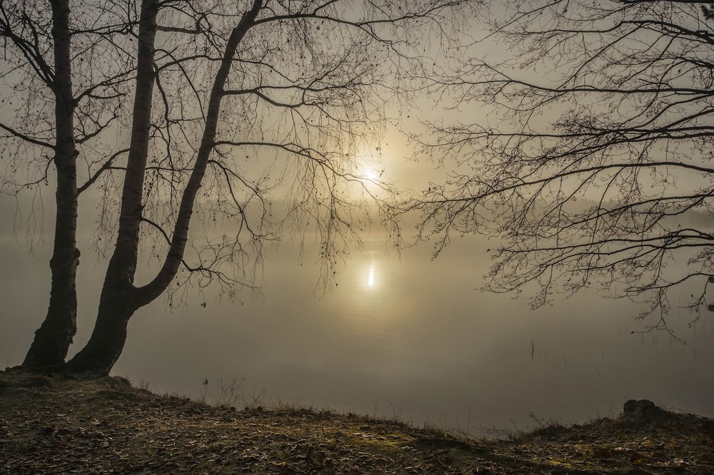 Photograph by Валерий Анисимов