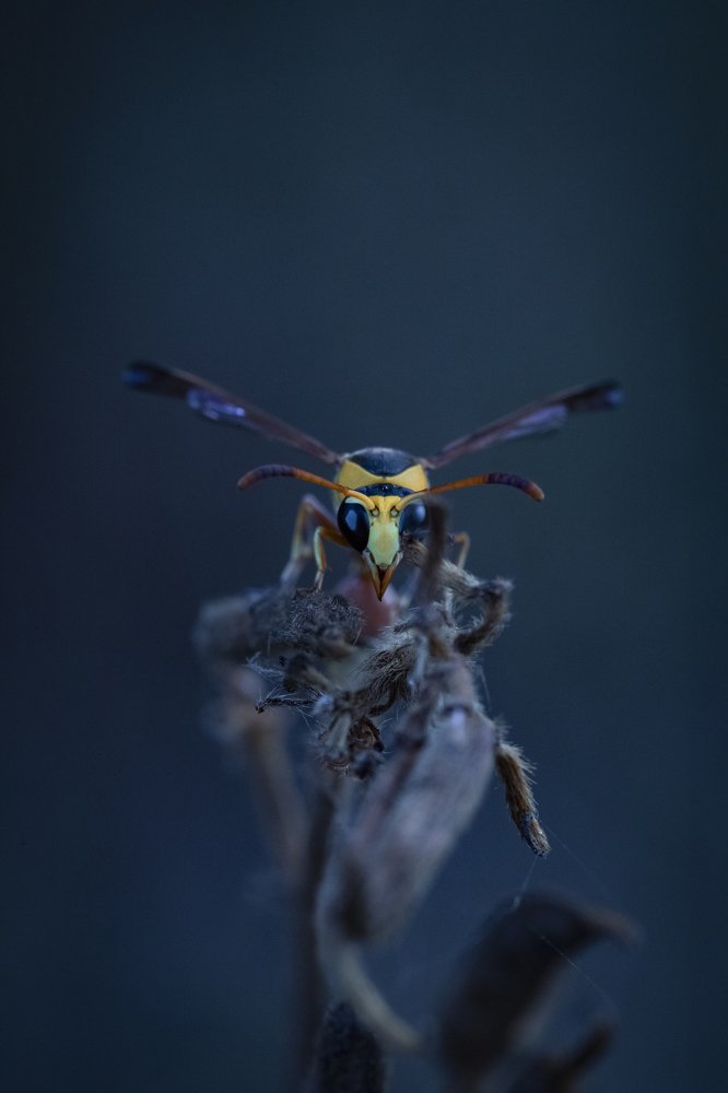 Photograph by Hemraj Chavhan A