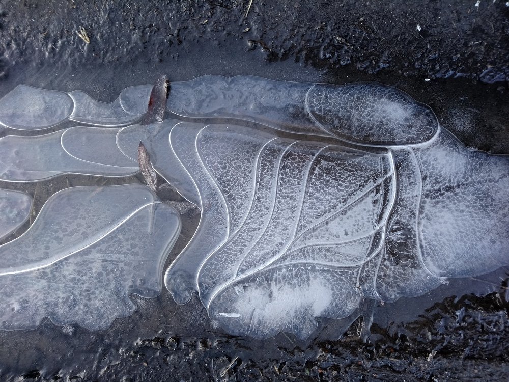 Photograph by Людмила Воропаева