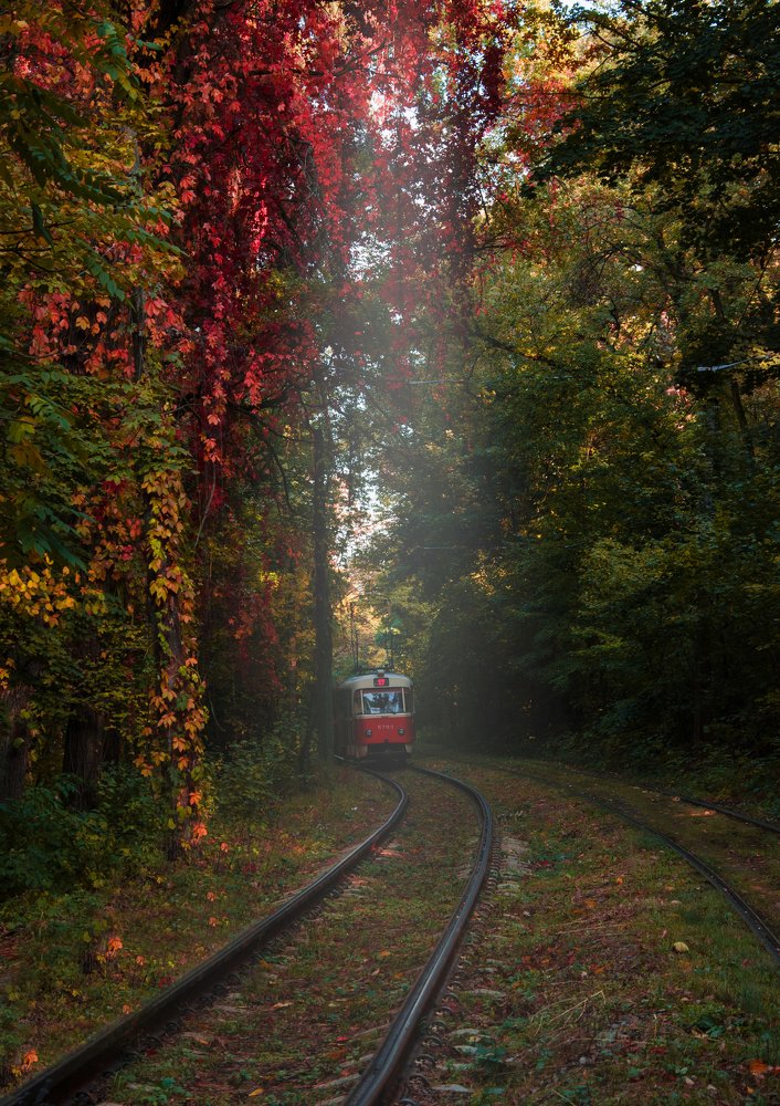 Photograph by Анна Пикаленко