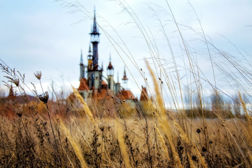 Photograph by Анна Пикаленко