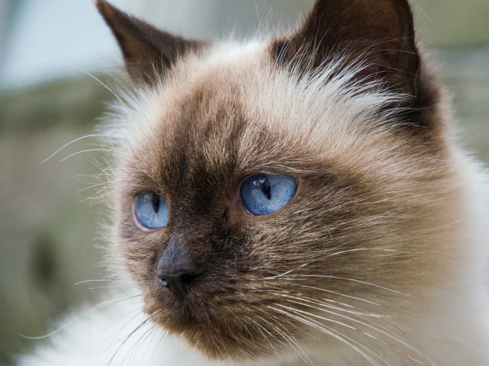 Photograph by Анна Пикаленко