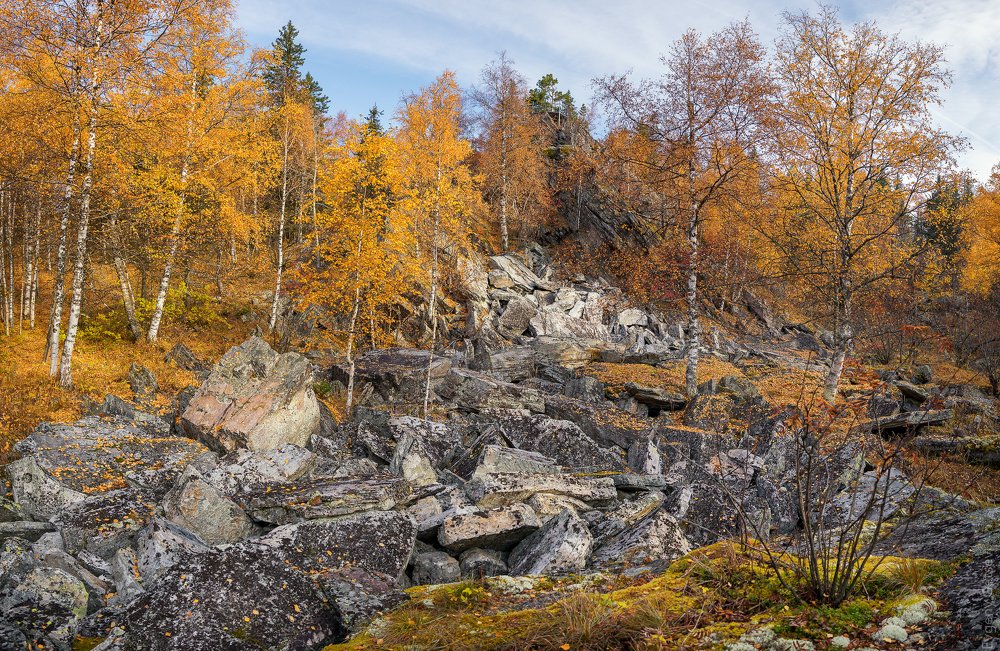 Photograph by Евгений Гецев