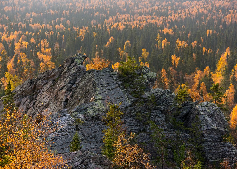 Photograph by Евгений Гецев