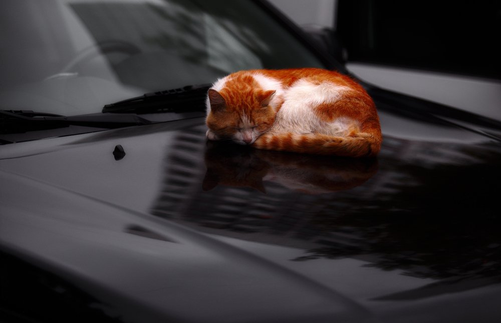 Photograph by Володя Овчаров