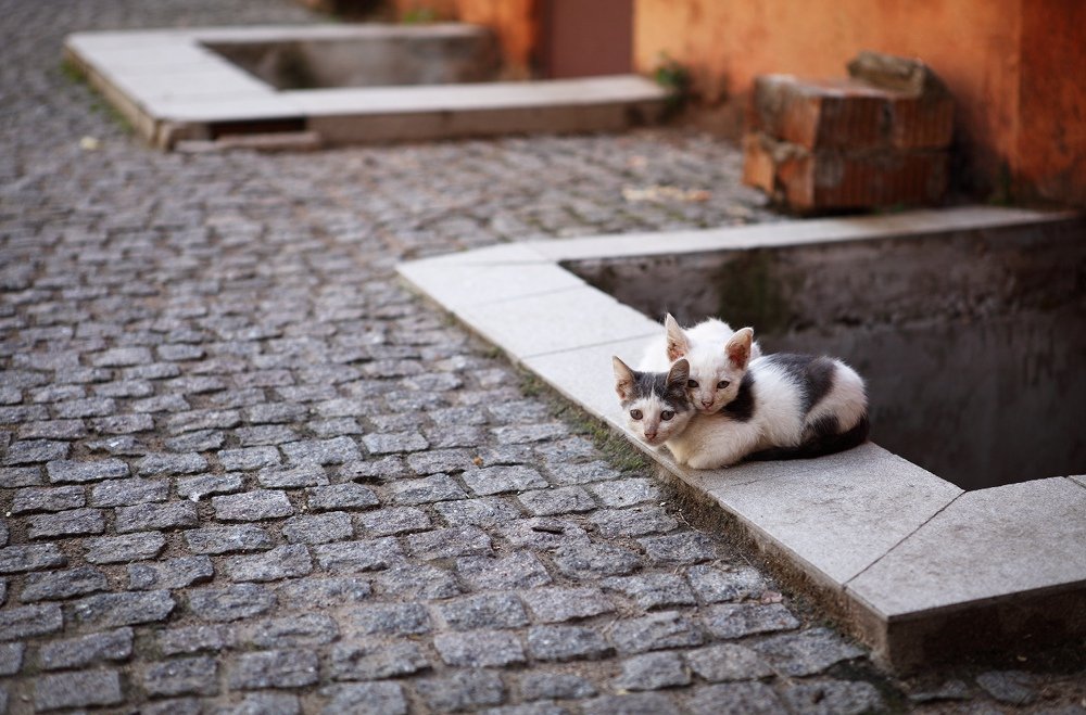 Photograph by Володя Овчаров