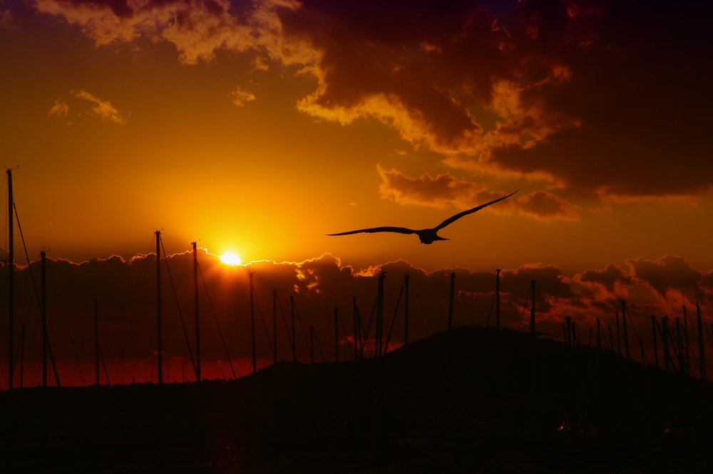 Photograph by Sax Palumbo