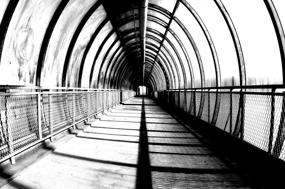 Photograph by Артём Малыхин