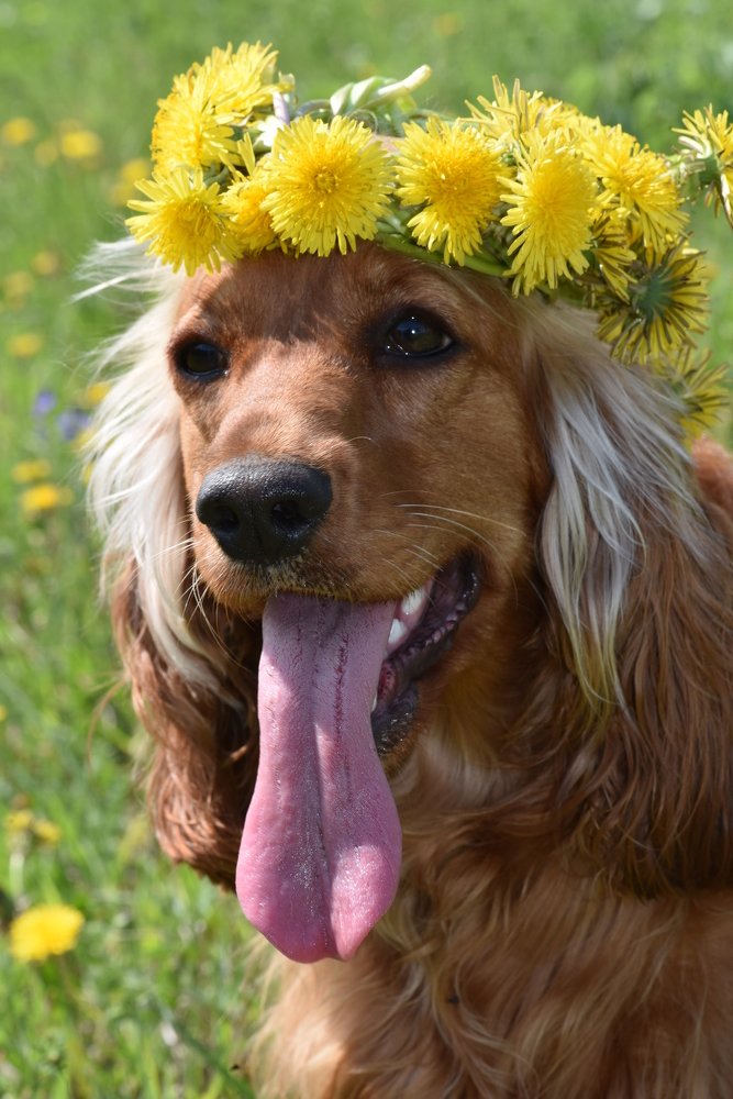 Photograph by Людмила Воропаева