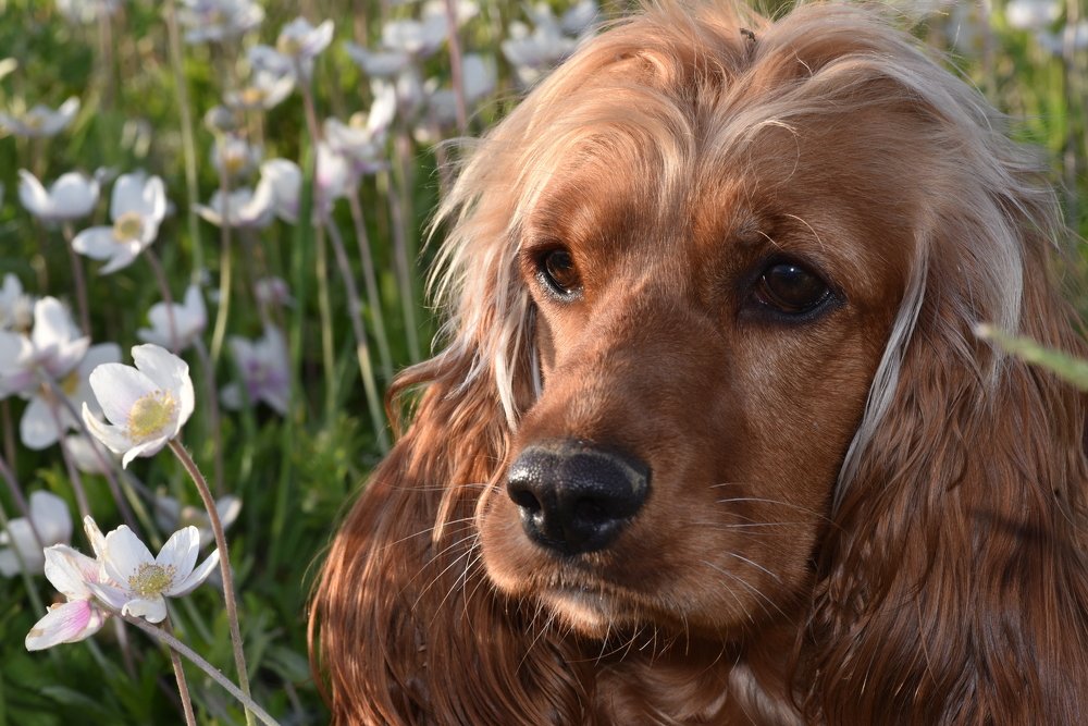Photograph by Людмила Воропаева