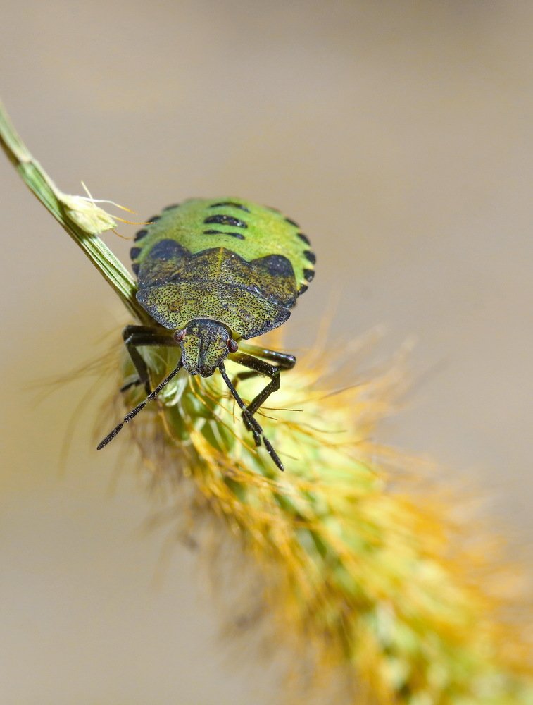 Photograph by Игорь Осипов