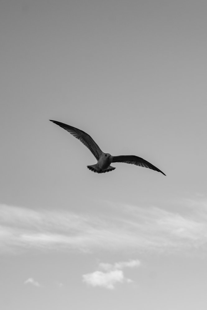 Photograph by Александра Леготина