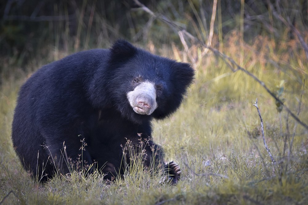 Photograph by Mindaka