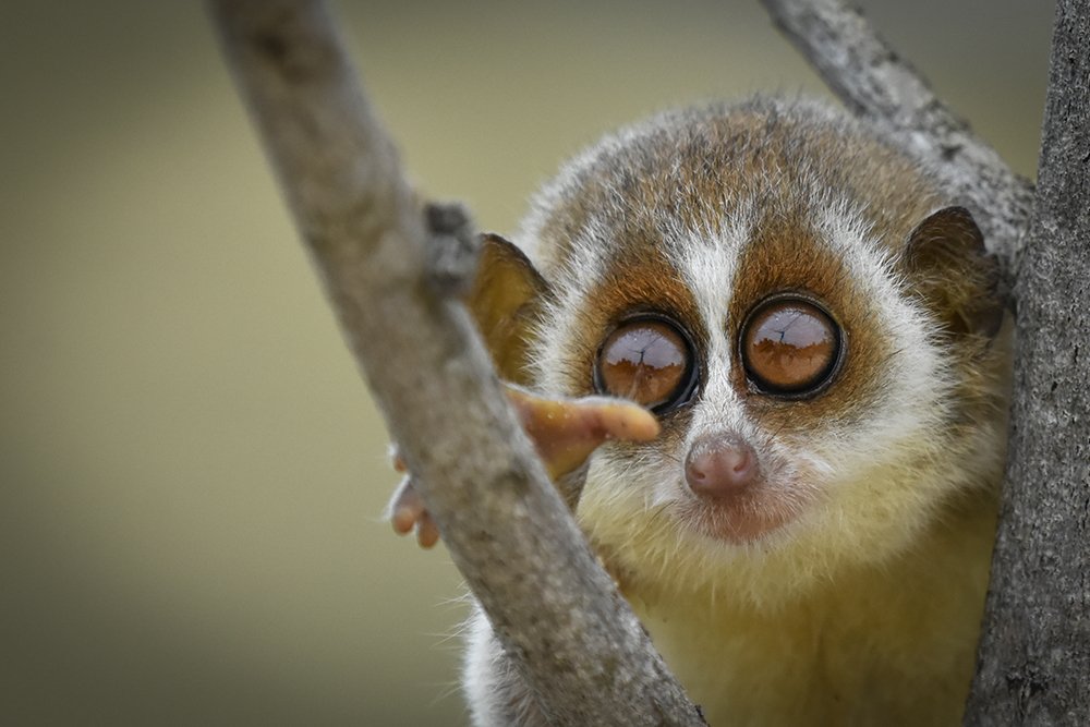 Photograph by Mindaka