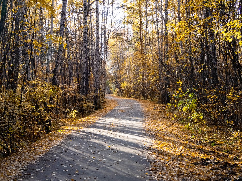 Photograph by Елена Степина