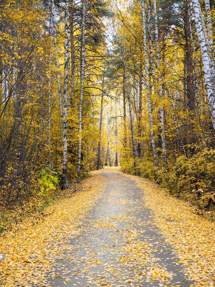 Photograph by Елена Степина