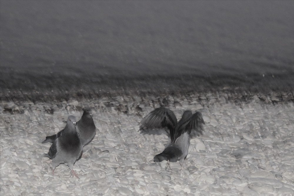 Photograph by Аленушка