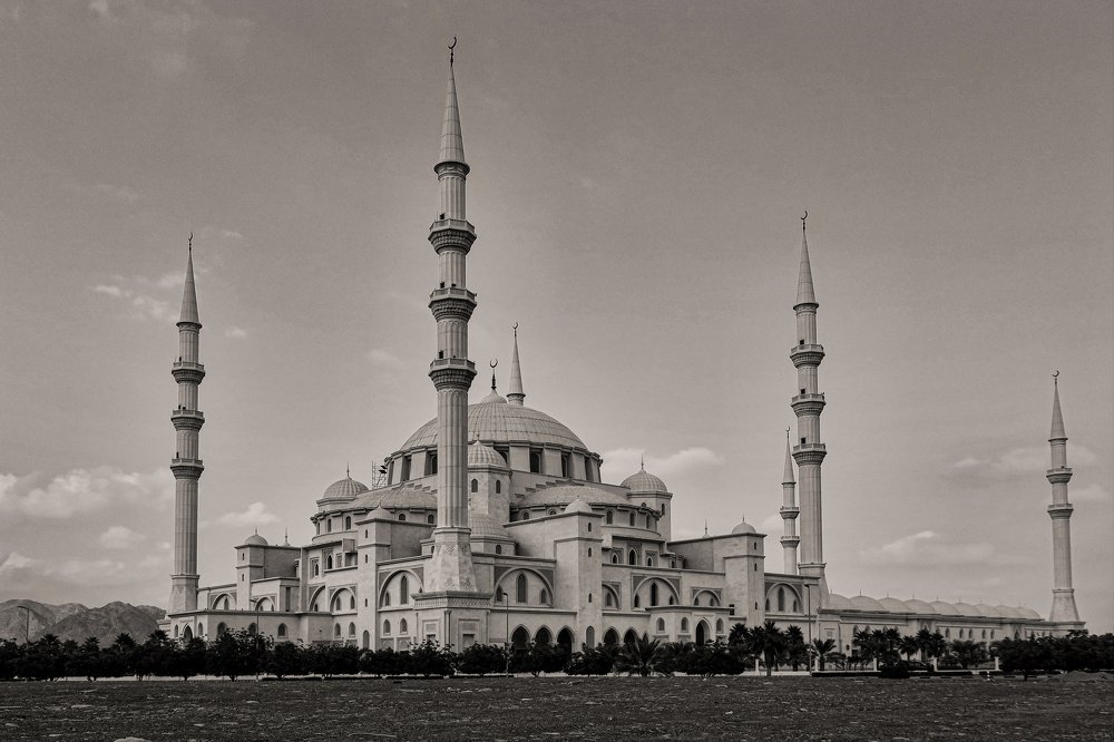 Photograph by Sabah Aljammasi