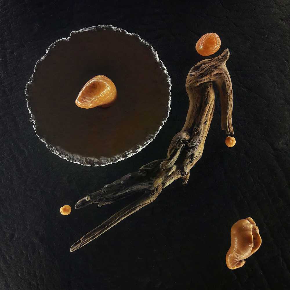 Photograph by игорь