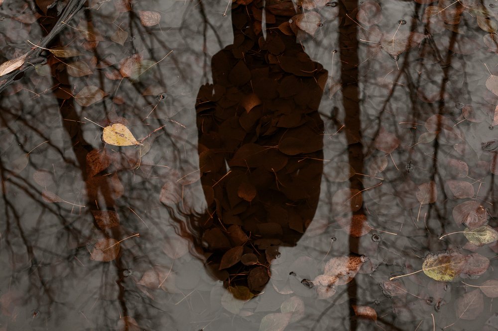 Photograph by Владислав Плотников