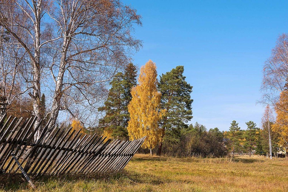 осень за городом