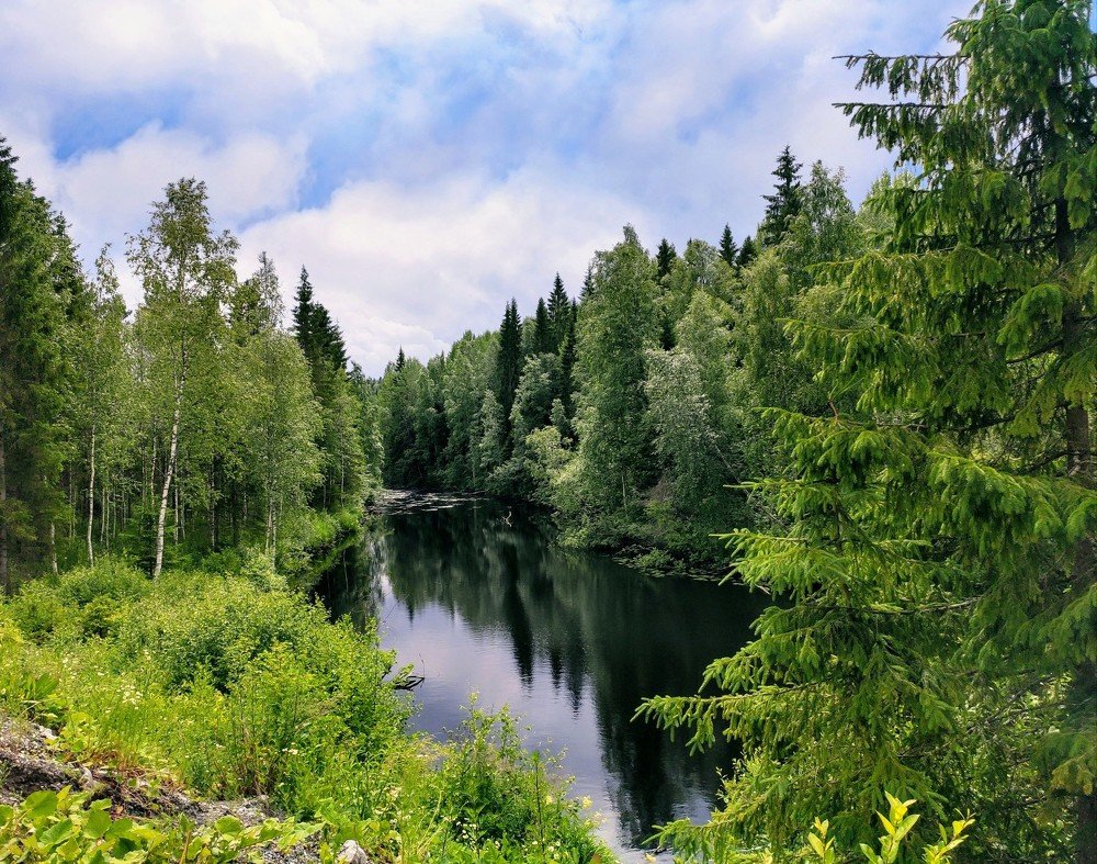 Волшебный мир