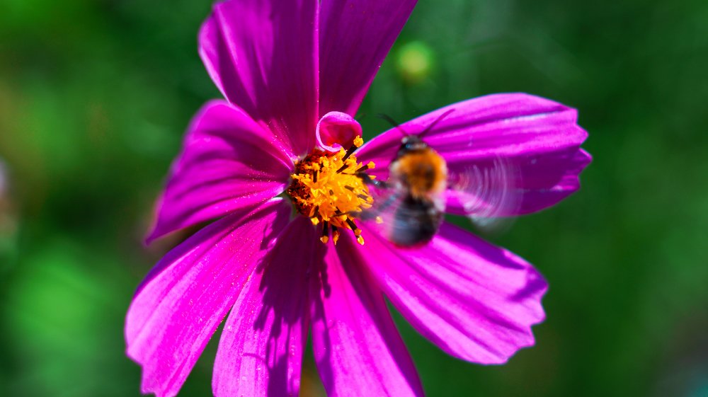 Photograph by Антон Хабленко