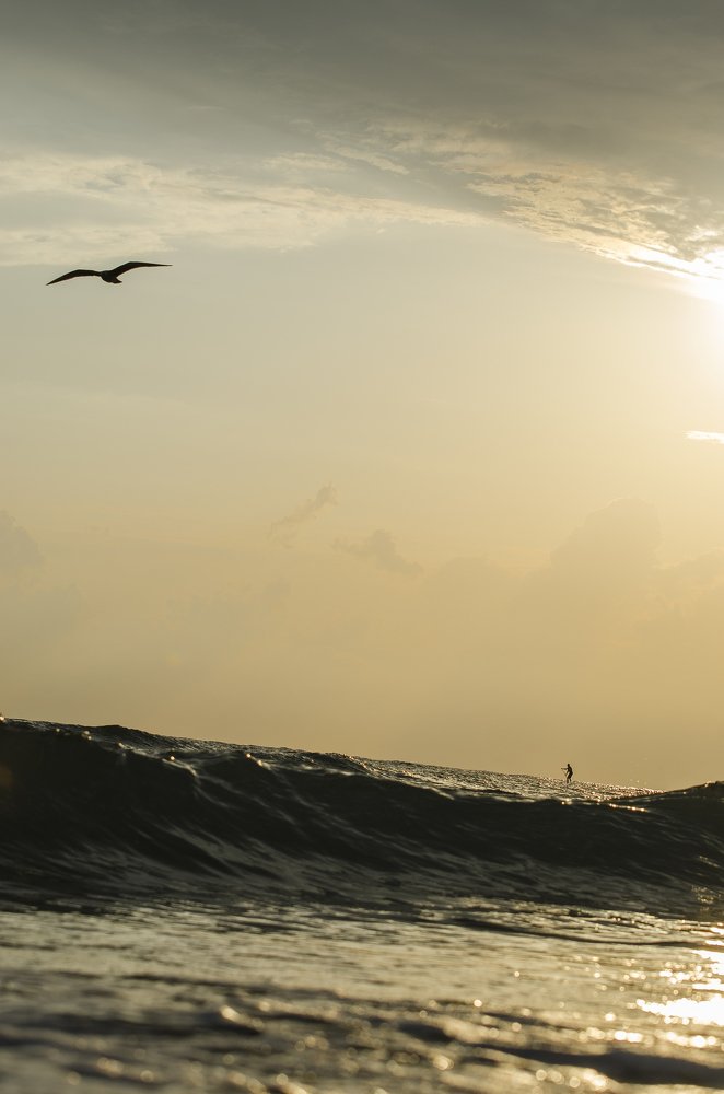 Photograph by Василий Либко