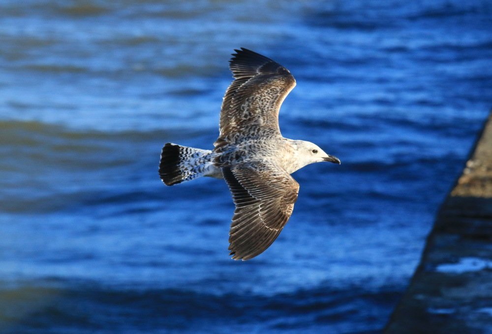 Фотография автора Сергей Кульков