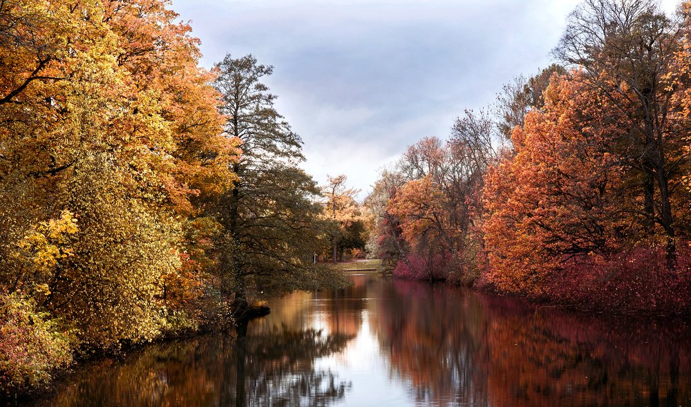 Photograph by Юлия Яровая