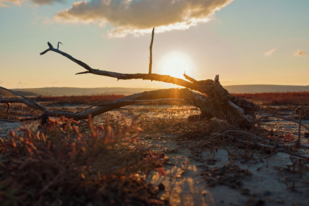 Photograph by Андрей Облап