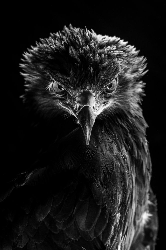 Photograph by Олег Кормашов