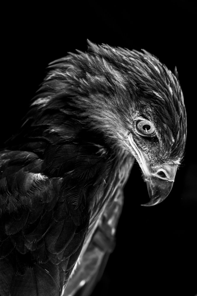 Photograph by Олег Кормашов