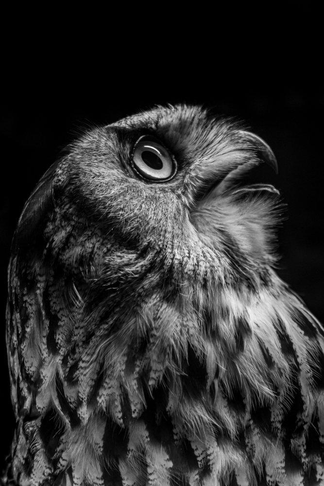 Photograph by Олег Кормашов