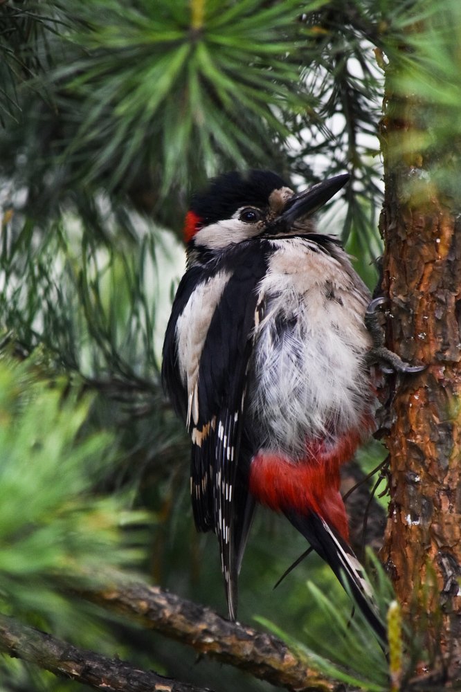 Photograph by Анна Муковозова