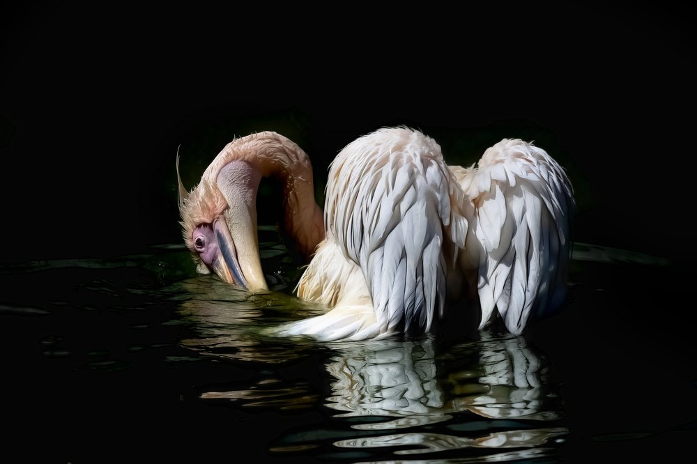 Photograph by Лея Лерер