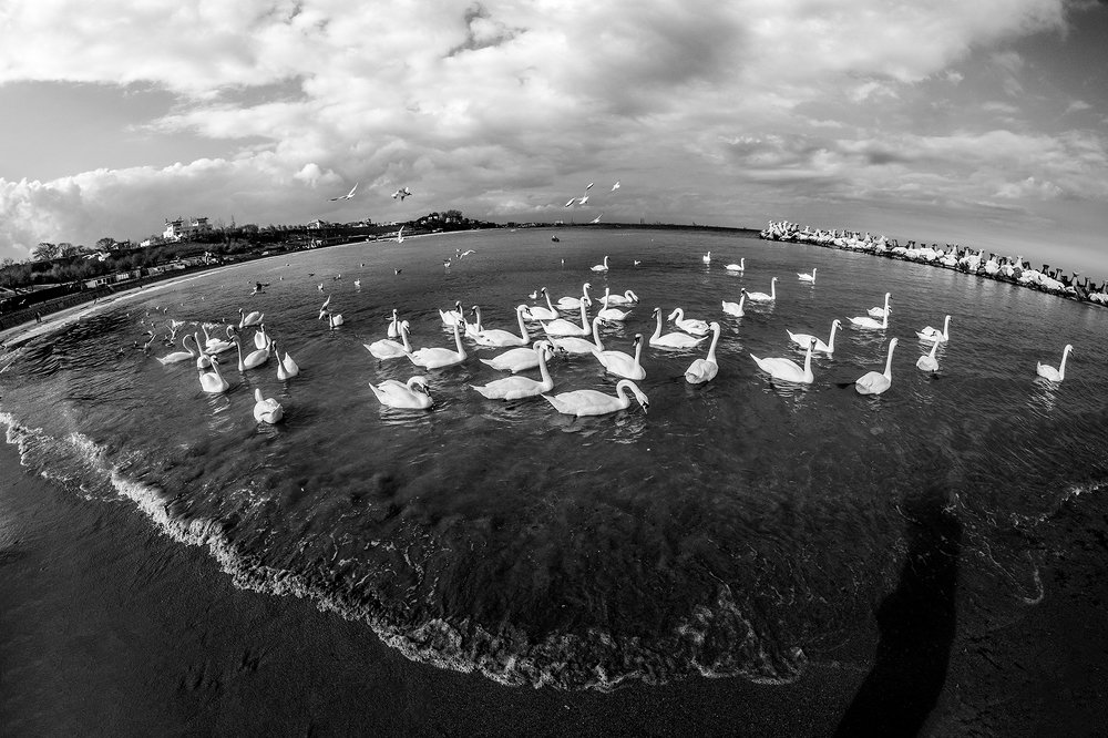 Photograph by Alexandra