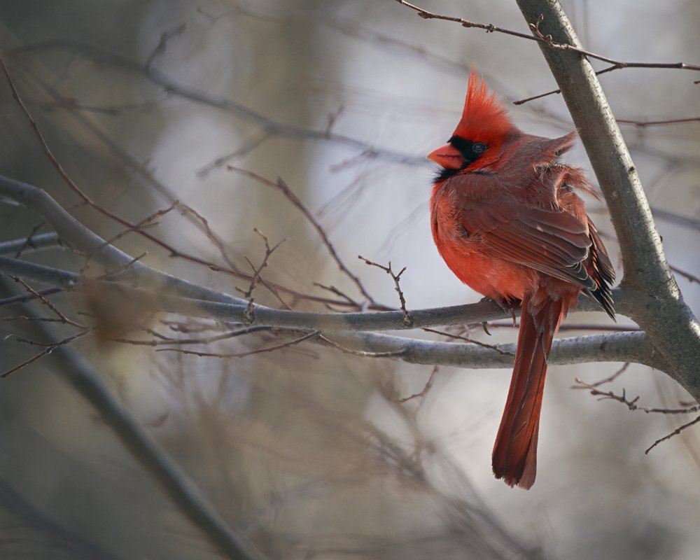 Photograph by Natalia Ghimp