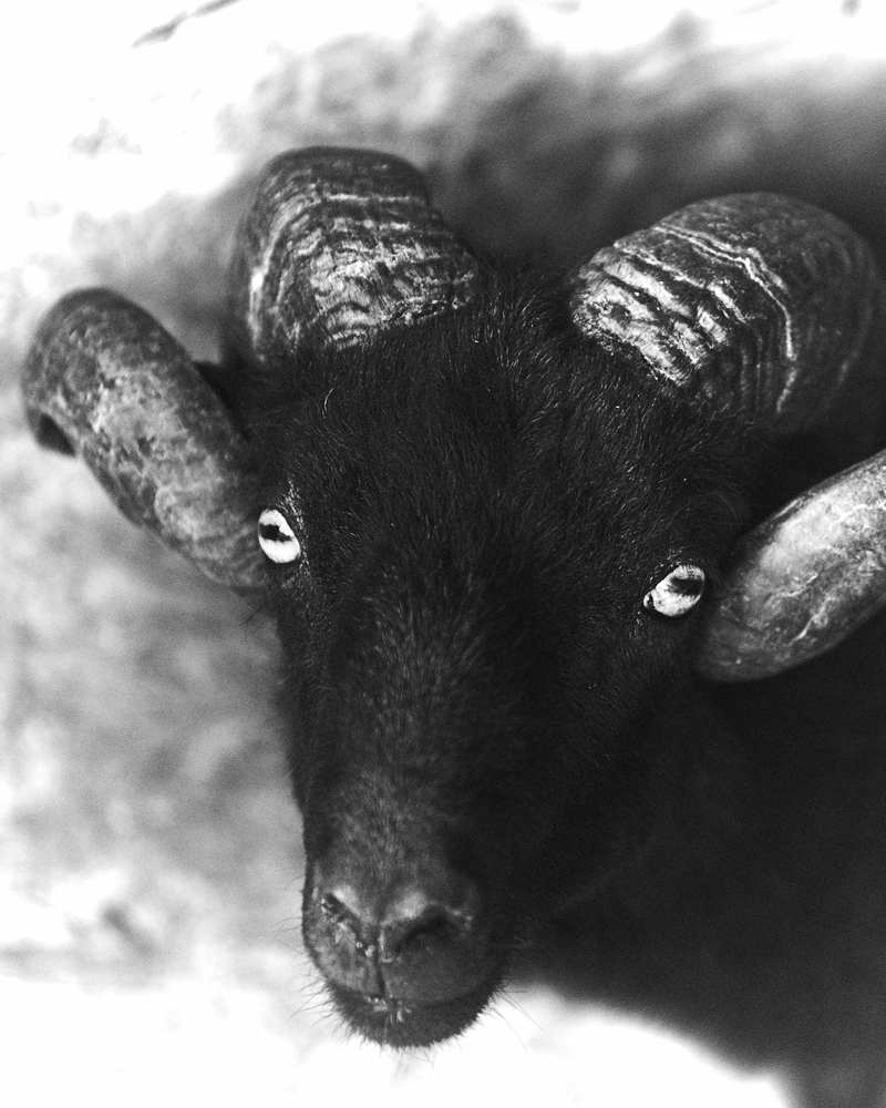 Photograph by Natalia Ghimp