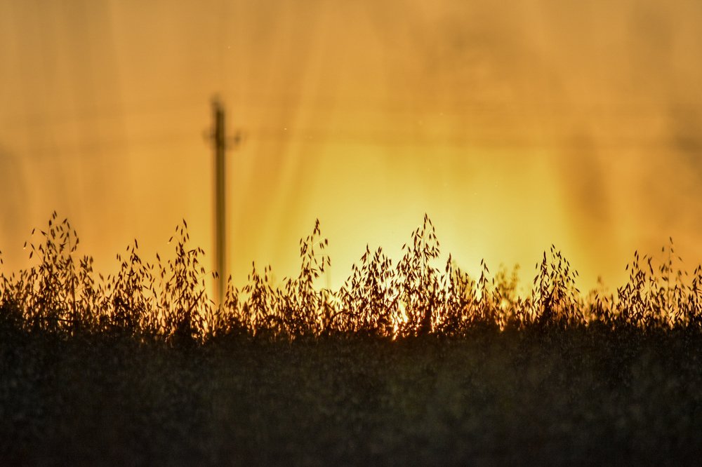 Photograph by Анна Муковозова