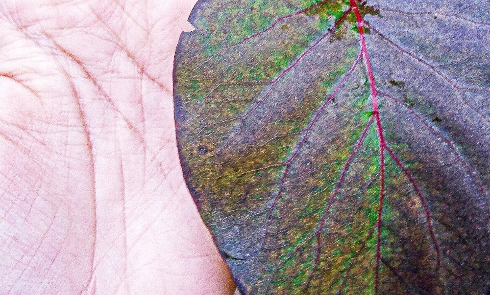 Photograph by Карина