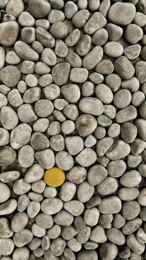 Photograph by Sai Vamsi Krishna Vintha