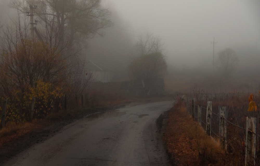 Photograph by Михаил Фенелонов