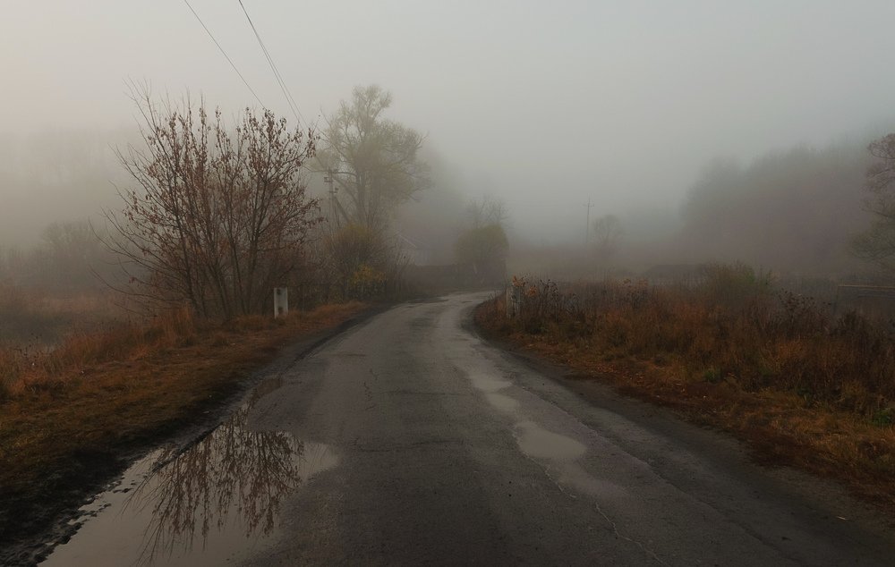 Photograph by Михаил Фенелонов