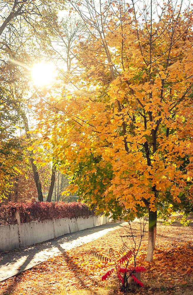 Photograph by Михаил Фенелонов