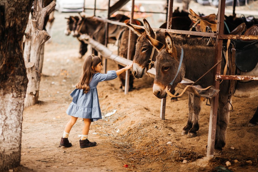 Photograph by Анастасия Корчак