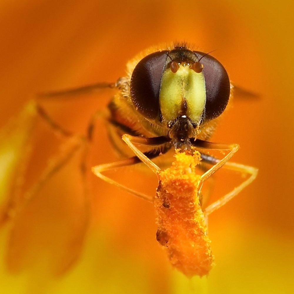 Фотография автора Юрий Кольцов
